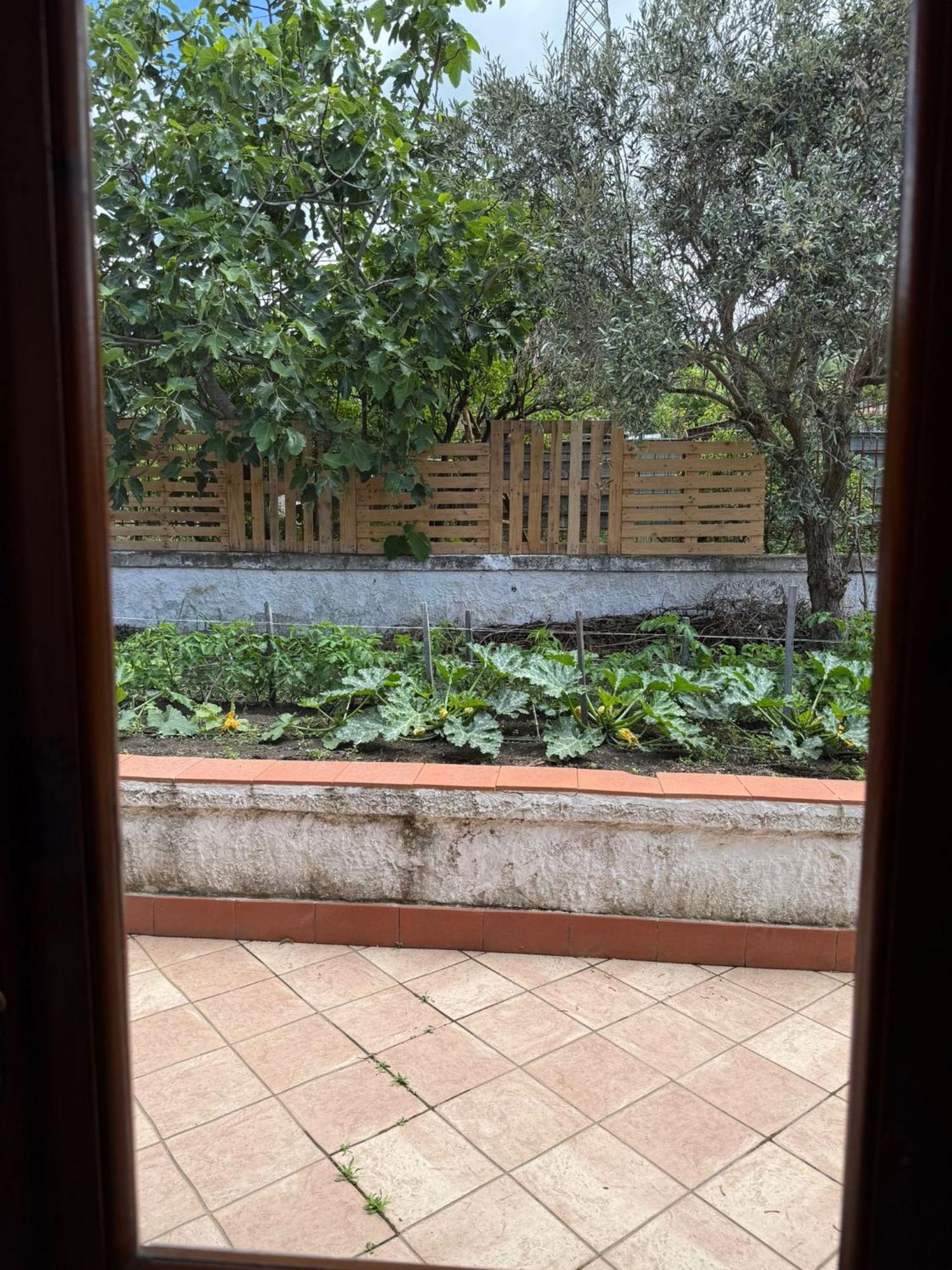 إيركولانو B&B Ioli Vesuvio المظهر الخارجي الصورة